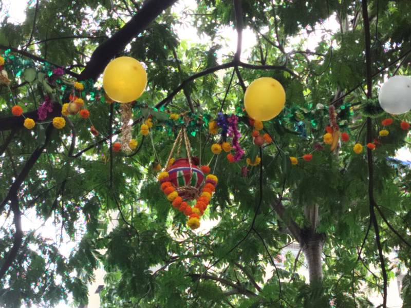 Dahi Handi Celebration (4)