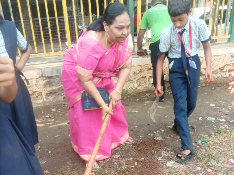 Tree plantation (4)