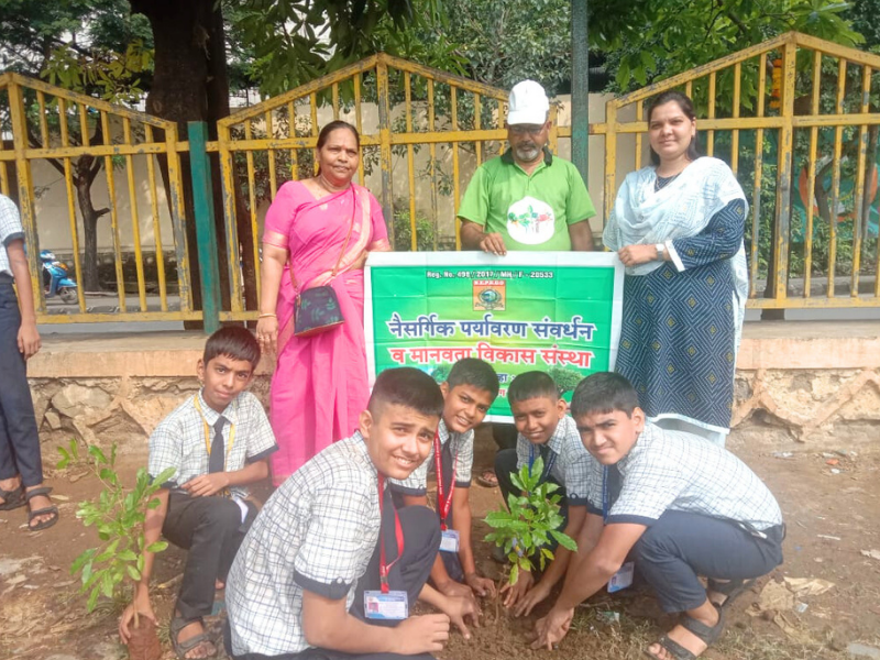 Tree plantation